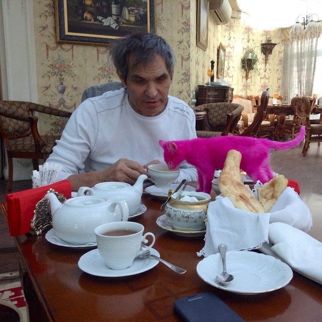 «Самая крутая в России розовая кошечка Нана обедает в самом крутом ресторане» — так подписал этот снимок Бари Алибасов в сентябре прошлого года
