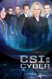 Постер CSI: Киберпространство: 2 сезон