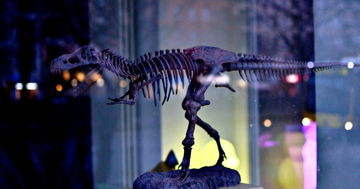 В Китае обнаружили новый вид динозавров