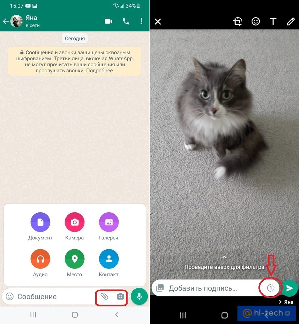 Как отправлять исчезающие файлы в WhatsApp - Hi-Tech Mail.ru