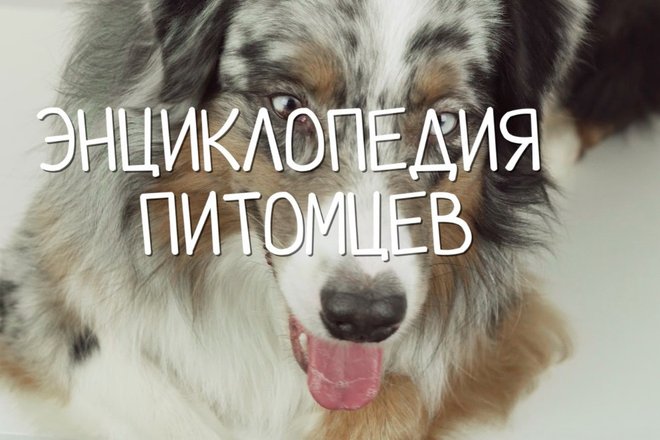 de726b8b00f31a6dd8975264794fef28.jpg