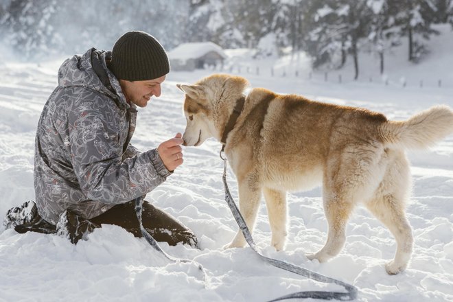 Собака Собака