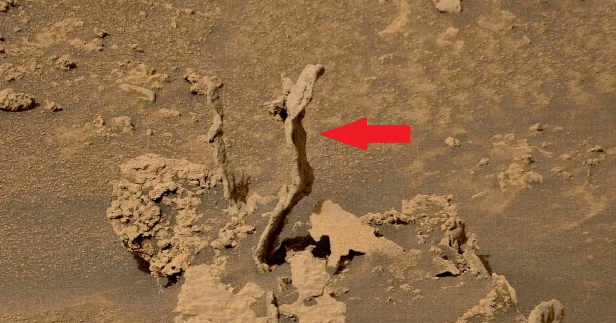На снимке с Марса заметили странные извилистые башни