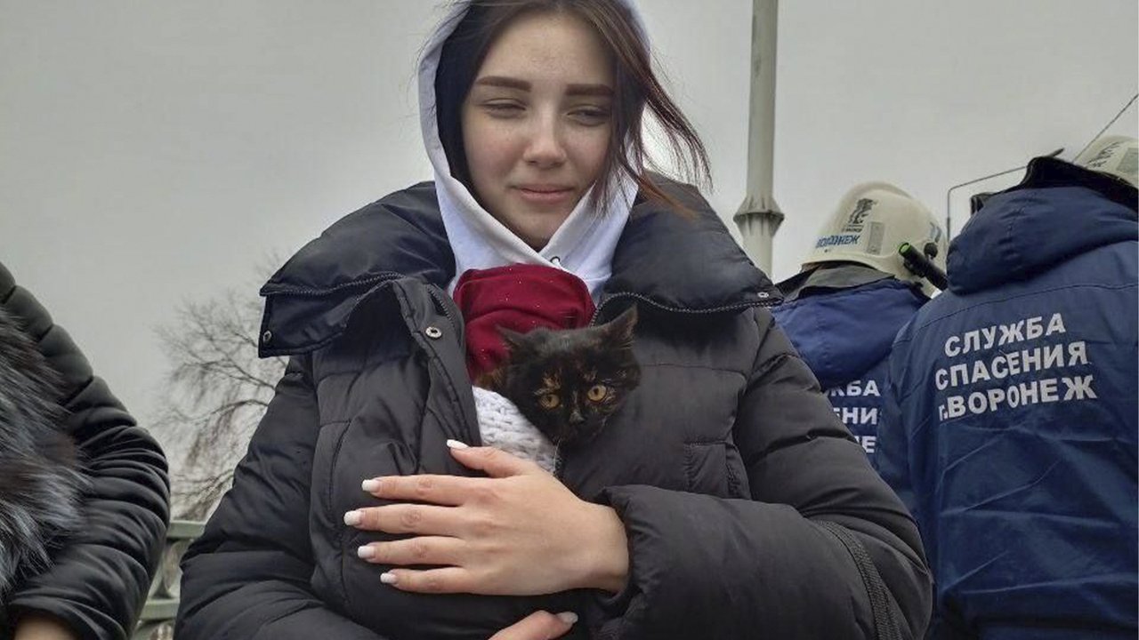 Котенка спасли Котенка спасли