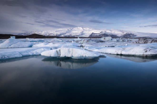 Арктика Арктика