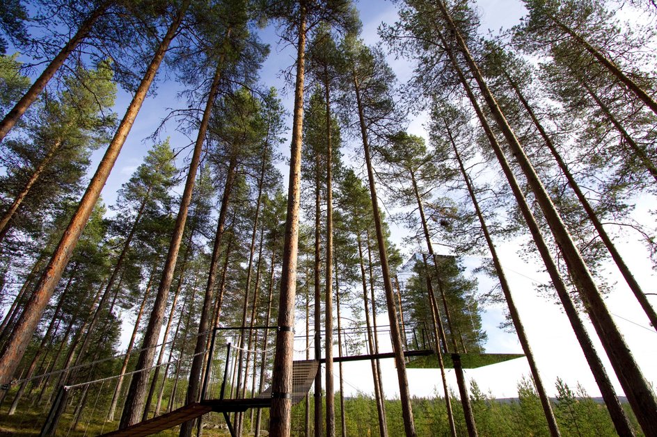 Зеркальный домик на дереве — идеальное место для слияния с природой