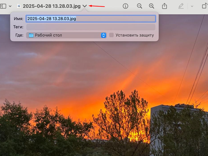 Всплывающие параметры файла в macOS Всплывающие параметры файла в macOS
