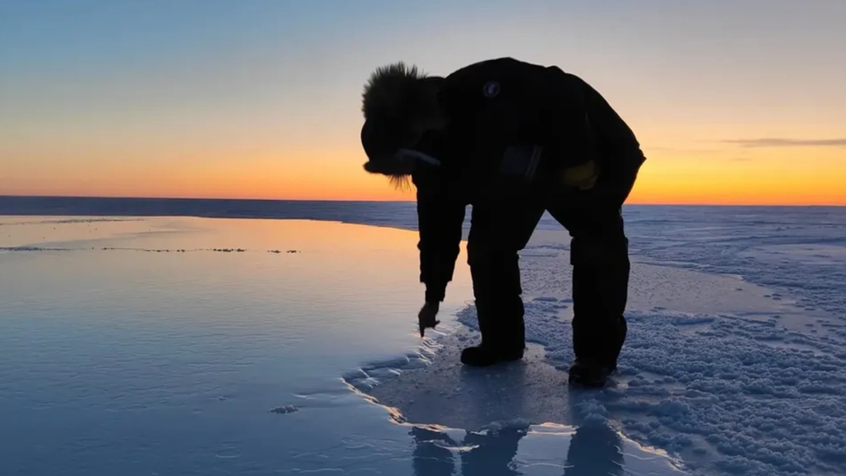 Граница нового льда, полученного при помощи установки Real Ice Граница нового льда, полученного при помощи установки Real Ice