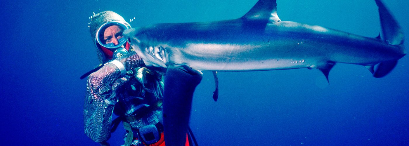Играя с акулами: история Валери Тейлор