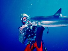 Кадр из Играя с акулами: история Валери Тейлор