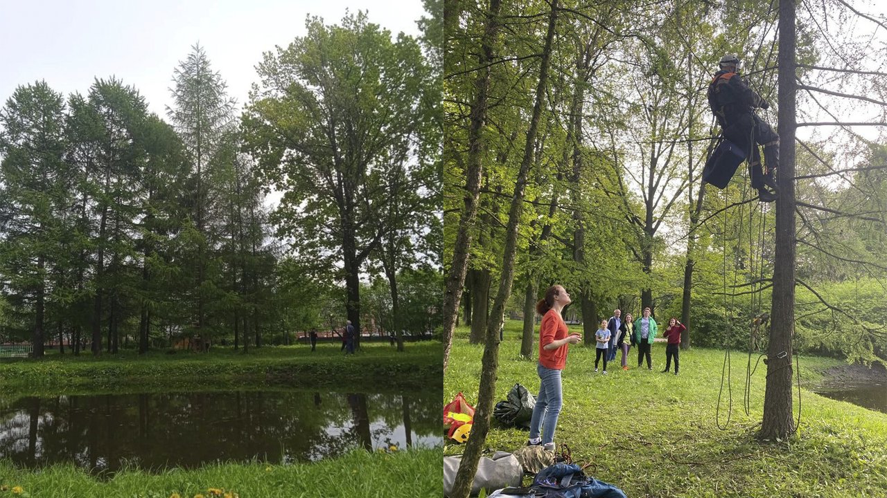 В Питере мальчик спасал кошку — пришлось спасать и его В Питере мальчик спасал кошку — пришлось спасать и его