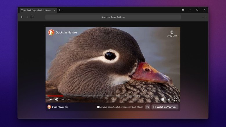 Так выглядит версия DuckDuckGo для Windows. Фото: spreadprivacy.com