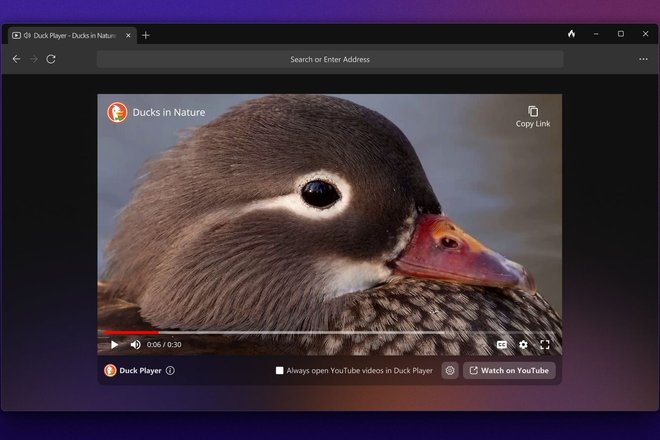 DuckDuckGo