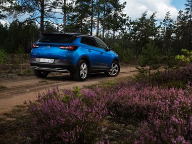 slide image for gallery: 26504 | Opel Grandland X статика
