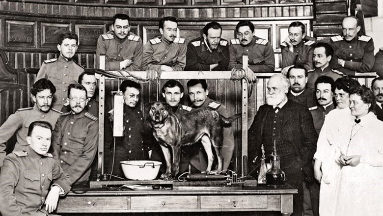 Иван Павлов на кафедре физиологии Военно-медицинской академии, 1912 год