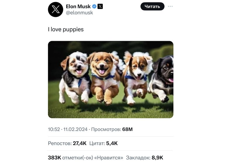 Пост Илона Маска. Перевод комментария: «Я люблю щеночков». Фото: X