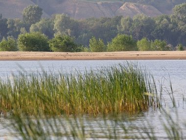 slide image for gallery: 27654 | Жигулевский заповедник