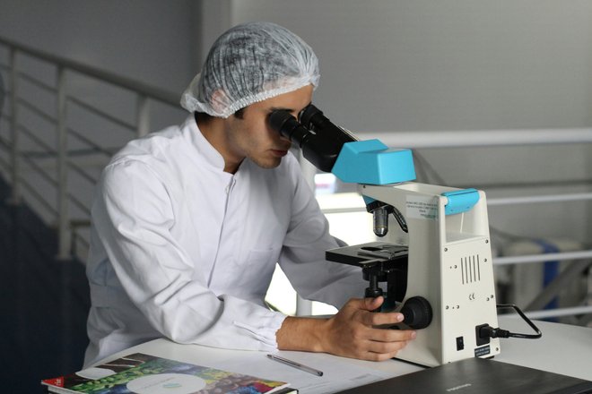 Микробы Микробы