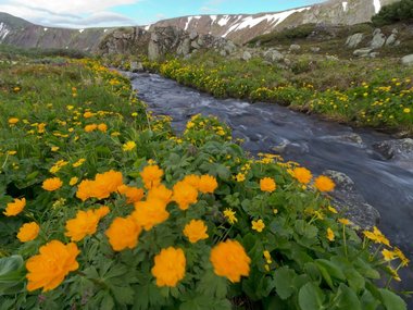slide image for gallery: 27648 | Байкальский заповедник