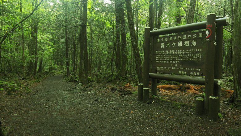 «Лес самоубийц» в Японии.