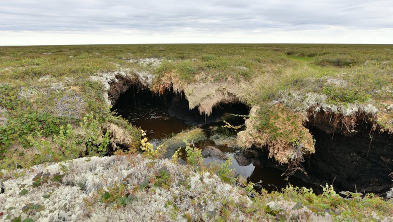 Провал в месте растаявшей ледяной жилы