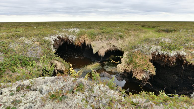 Провал в месте растаявшей ледяной жилы