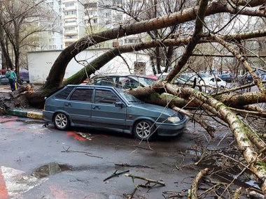 slide image for gallery: 24530 | Последствия ураганов в Москве