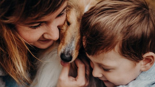 Как укрепить здоровье собаки. 3 главных правила