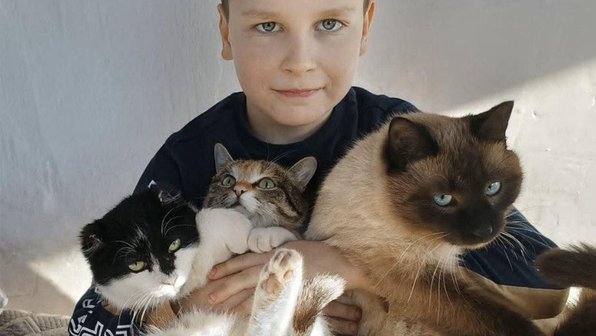 Девятилетний мальчик спас несколько кошек и собак в Забайкалье