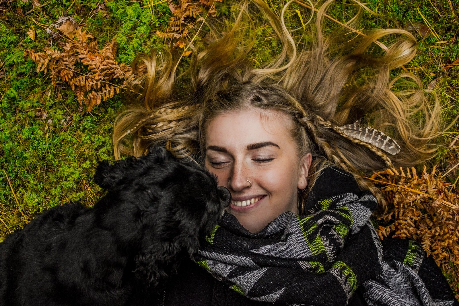 К чему снится собака — толкование сна по соннику про собак во сне | Леди  Mail.ru