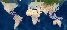 Карты мест обитания неизвестных амфибий, млекопитающих и рептилий. Скриншоты: mol.org
