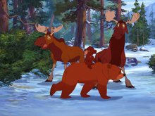 Кадр из Братец медвежонок 2: Лоси в бегах