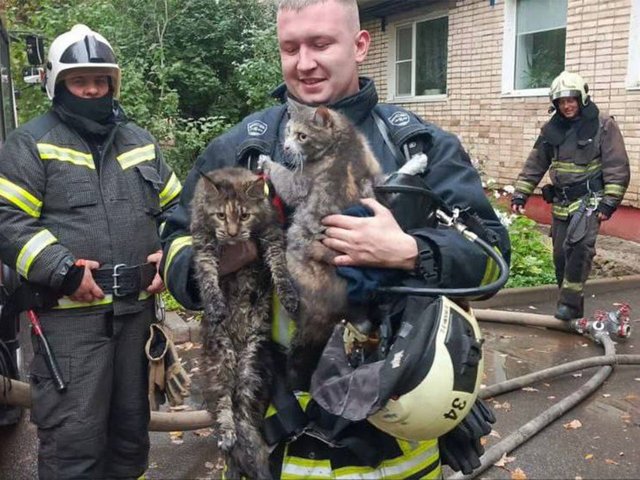 В Новгороде пожарные спасли мать, детей и питомцев