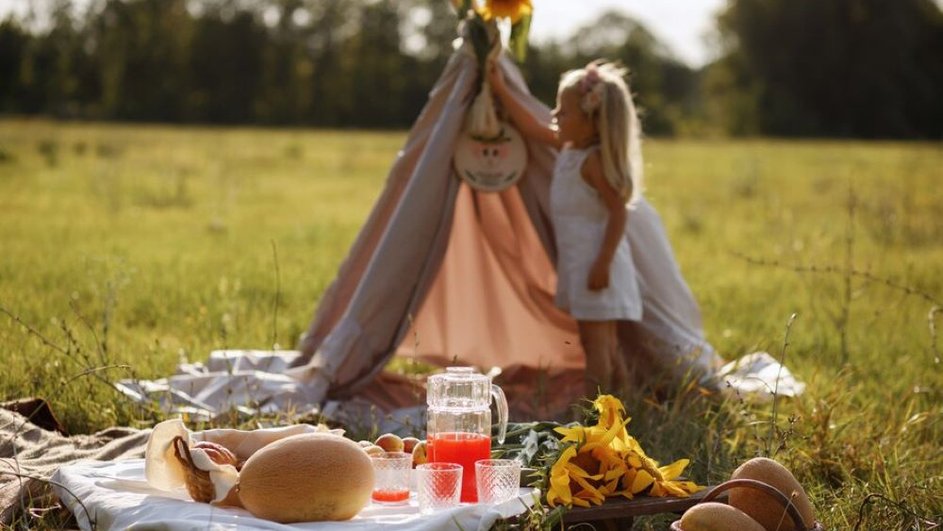 На траве лежит скатерть, на ней - продукты, за ней стоит шалаш из покрывала, рядом стоит девочка в белом платье.