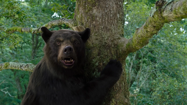 Кадр из фильма «Кокаиновый медведь»