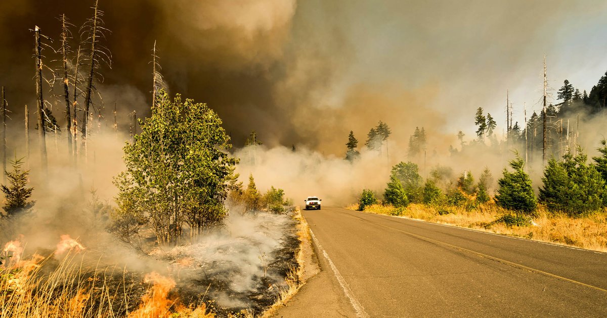 Ученые: количество экстремальных пожаров за 20 лет выросло в 2 раза