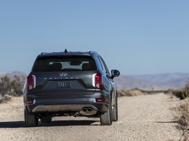 slide image for gallery: 25305 | Hyundai Palisade