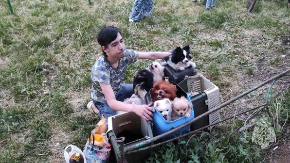 В Башкортостане на пожаре спасены 10 шпицев и 3 кошки