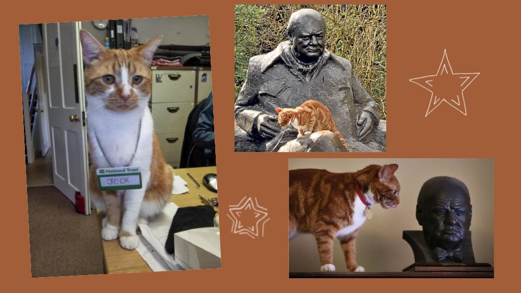 Winston_Churchill_and_the_cat_Jock