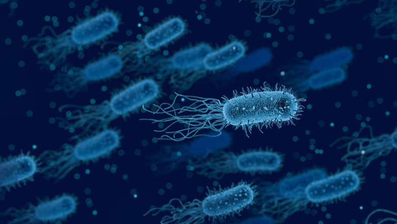 Бактерии способны расщеплять полимеры. Фото: Wired