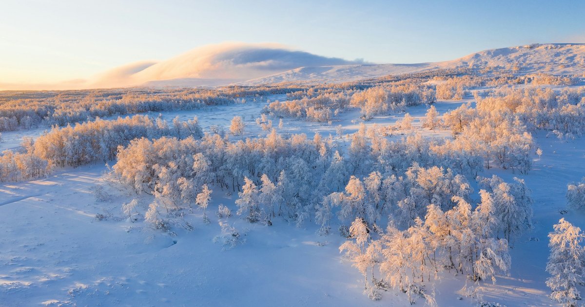 Российские ученые научились точнее прогнозировать холодные зимы