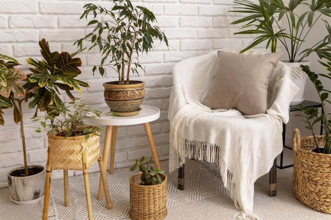 Интерьер в стиле бохо, комнатные растения, кресло
