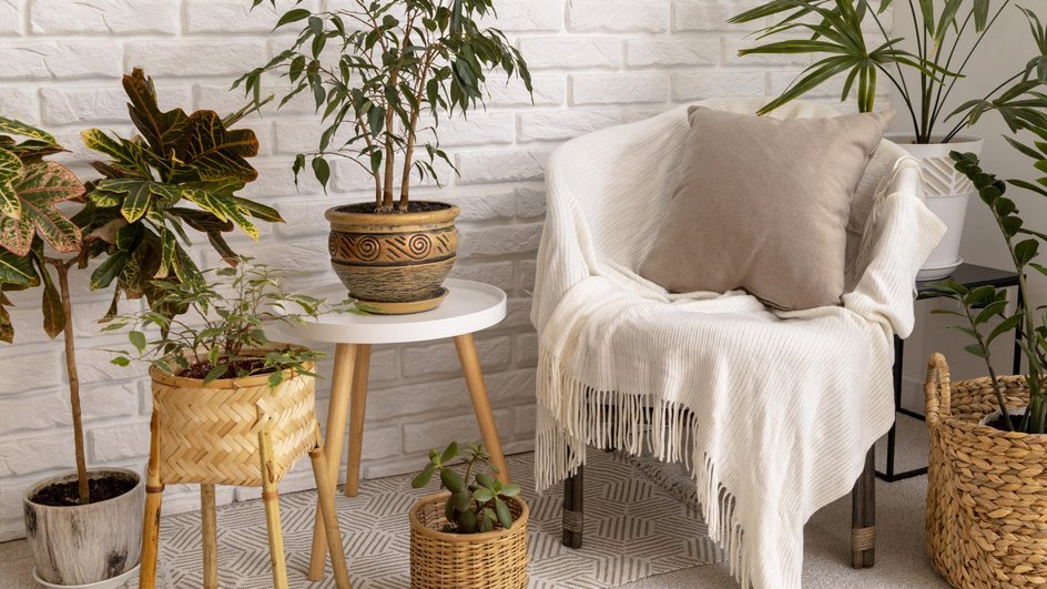 Интерьер в стиле бохо, комнатные растения, кресло