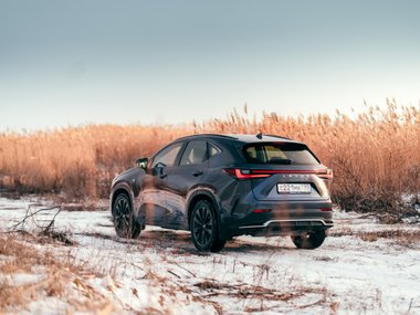 Lexus NX