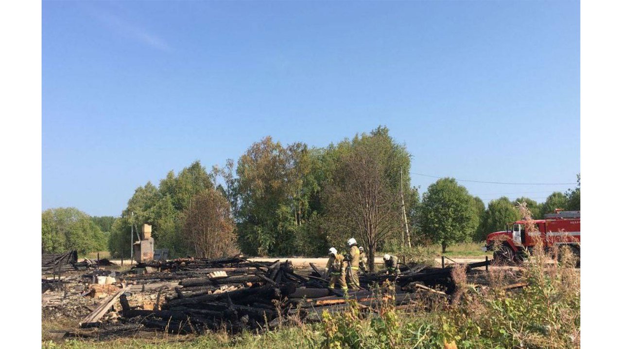 Под Архангельском собака спасла семью от гибели на пожаре