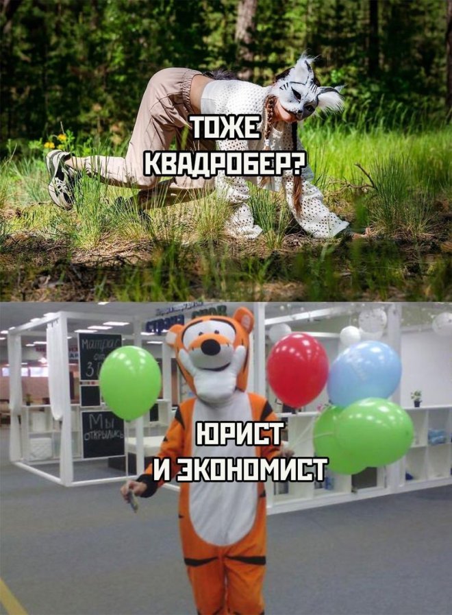 Мемы квадроберы