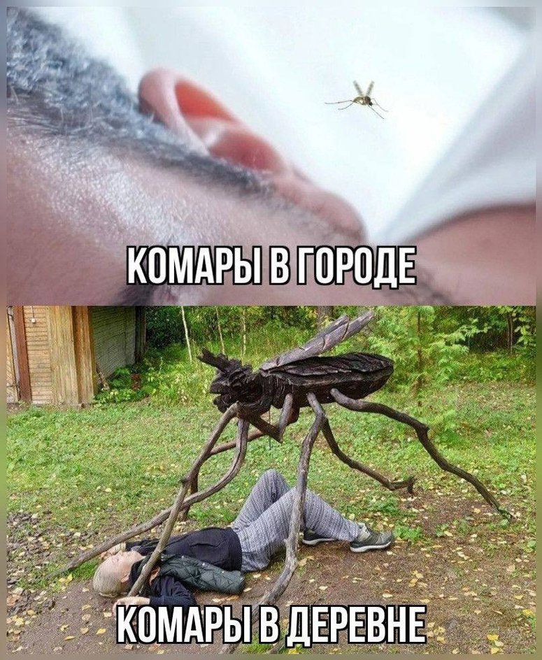 Их боялись даже собаки Их боялись даже собаки
