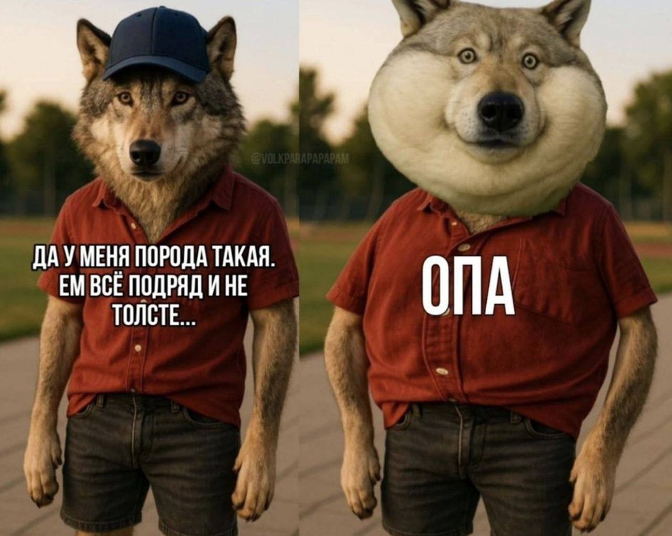 Даже для тех, кто никогда не толстеет Даже для тех, кто никогда не толстеет