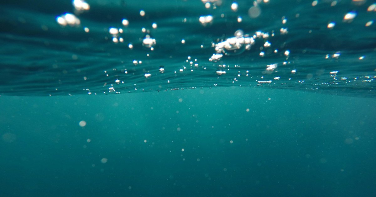 На дне океана обнаружили «темный кислород»: откуда он взялся