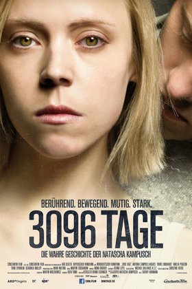 3096 дней: постер